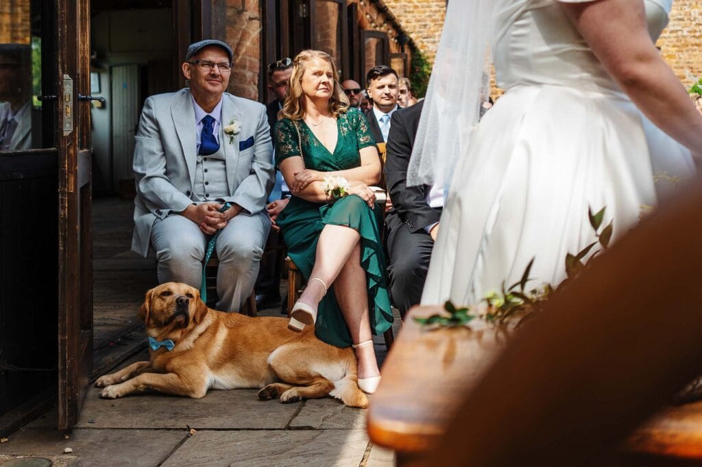 A detailed description of a wedding ceremony featuring guests seated indoors, including a dog lying on the floor, capturing an intimate and joyful moment.
