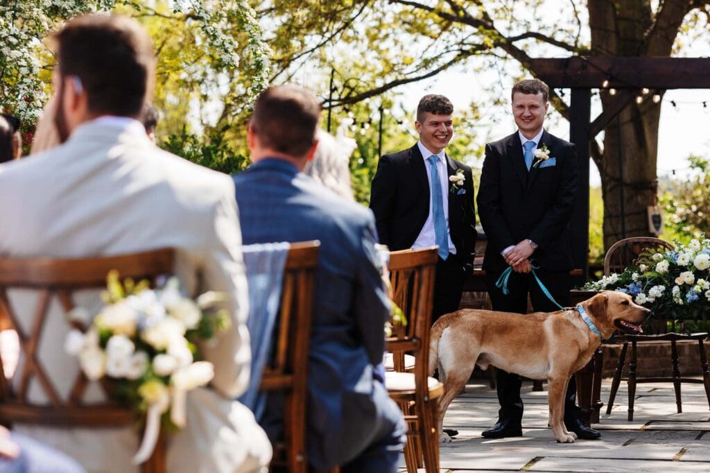 Beautiful outdoor wedding ceremony with groomsmen, bride, and guests in a scenic garden setting, featuring elegant decor and a friendly dog, perfect for memorable wedding moments.