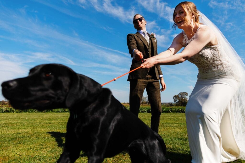 A bride and groom enjoying their wedding day outdoors with their black Labrador, capturing a joyful moment in a scenic green field under a bright blue sky.
