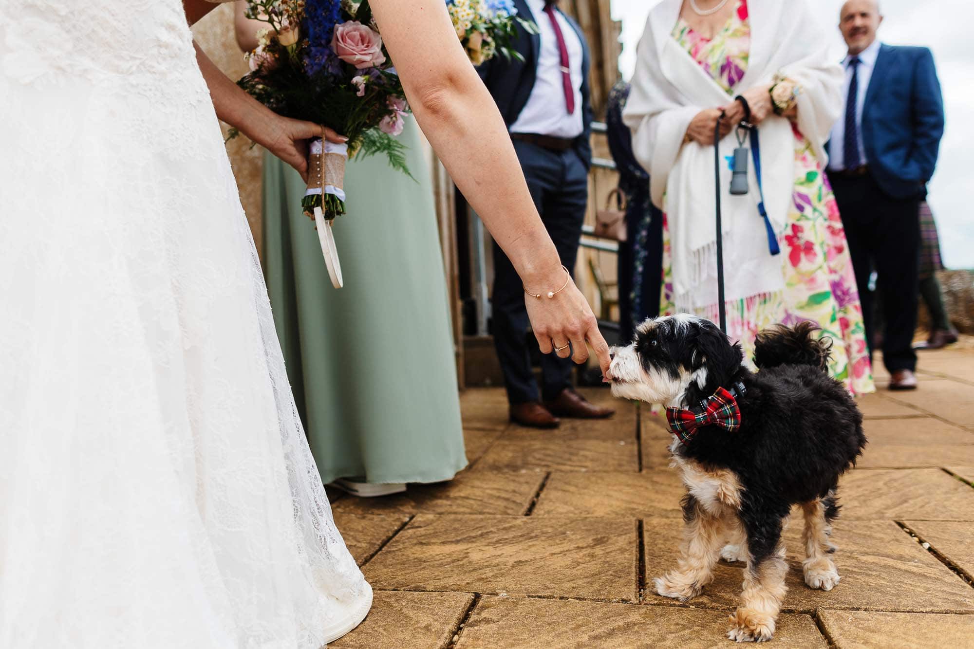 Bride interacting with a small black and white dog wearing a bow tie during a wedding ceremony at BGS Weddings, capturing a charming moment of the celebration.